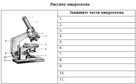 Микроскоп строение и функции