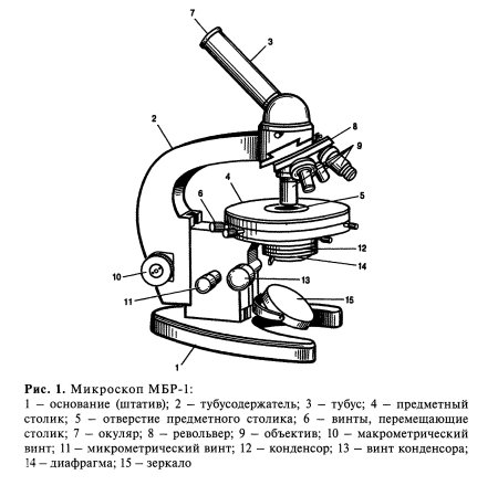 Микроскоп карандашом с подписями