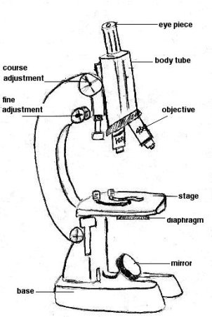 Микроскоп вид сбоку чертеж