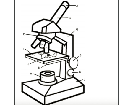 Строение микроскопа без подписей
