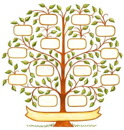 Родственное дерево рисунок