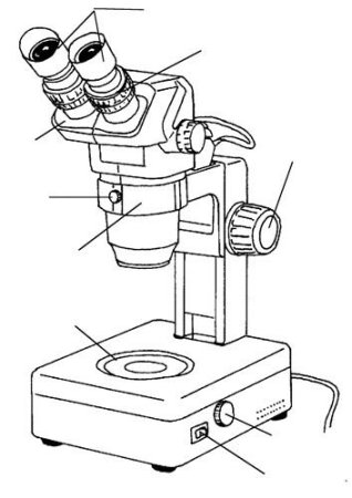Микроскоп контур
