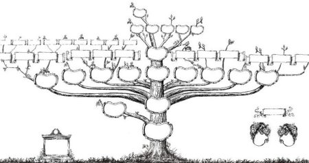 Генеалогическое Древо эскиз