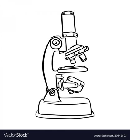 Рис 14 строение микроскопа