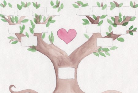 Рисование генеалогического дерева