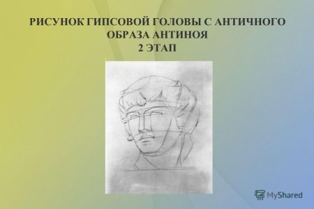Рисунок гипсовой головы Антиноя поэтапно