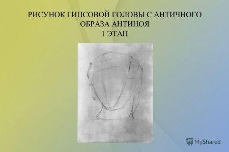 Рисунок гипсового слепка античной головы