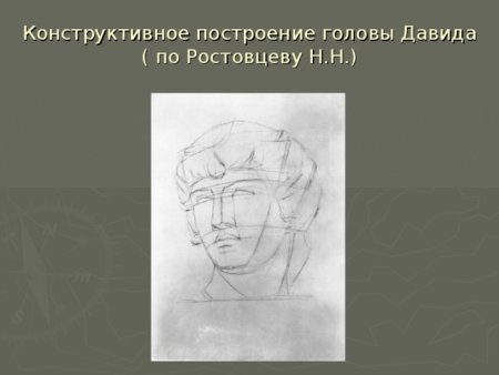 Этапы построения головы