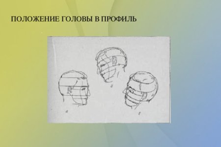 Профиль положение головы
