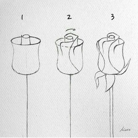 Схема рисования розы карандашом