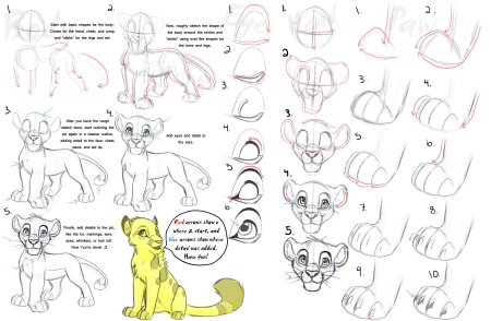 Как рисовать в стиле короля Льва поэтапно