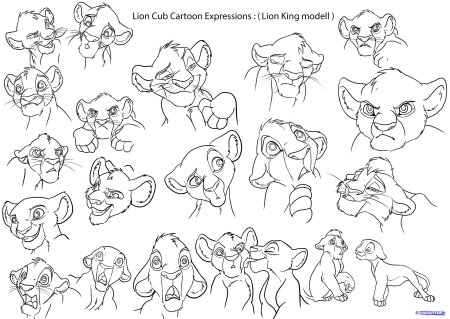 Анатомия Львов из короля Льва