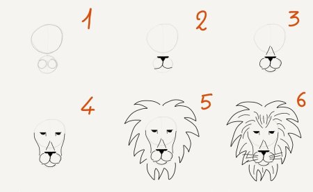 How to draw a toon Lion
