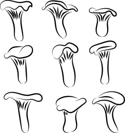 Как нарисовать гриб лисичку