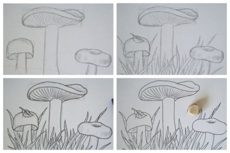 Раскраска грибов с названиями