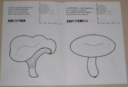 Лисичка гриб контур