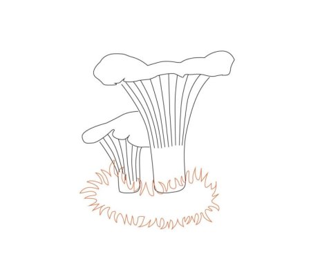Рисование грибов пошагово