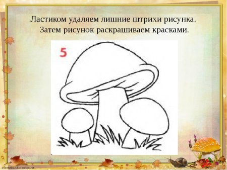 Схема рисования грибов