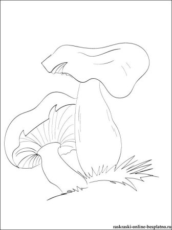 Гриб Лисичка рисунок