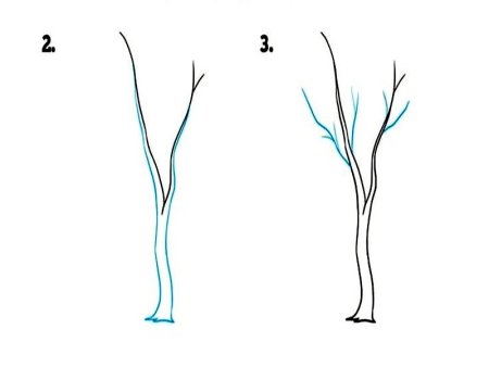 Поэтапное рисование дерева