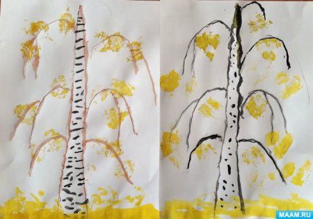 Рисование Березка в старшей группе