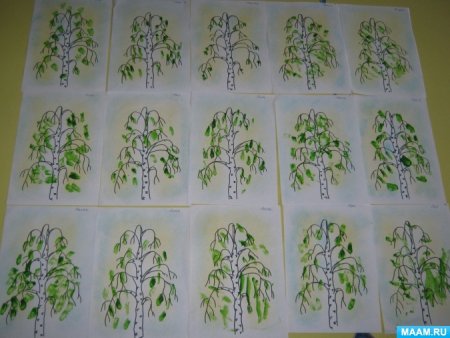 Рисование березы в старшей группе