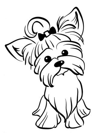 Йоркширский терьер