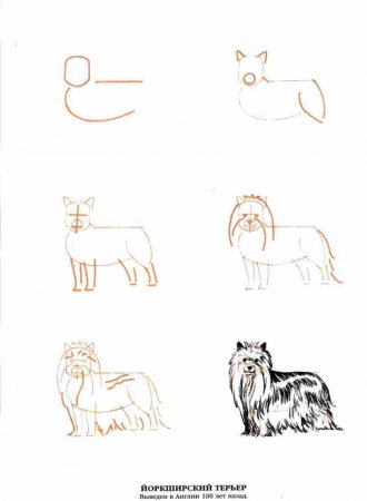 Эймис л. "рисуем 50 собак"