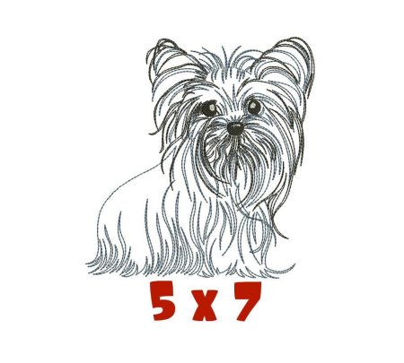 Рисунки йоркширского терьера для срисовки легкие