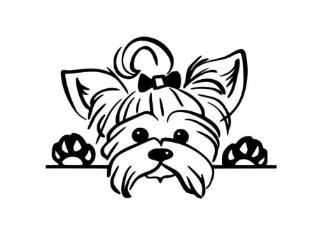 Йоркширский терьер