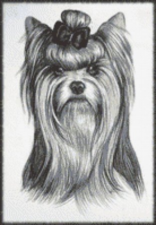 Йоркширский терьер рисунок
