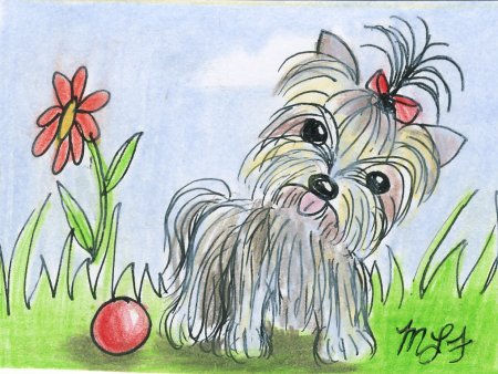 Йоркширский терьер рисунок для детей 2 класс