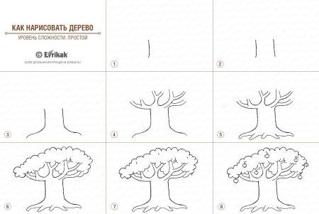 Поэтапное рисование дерева