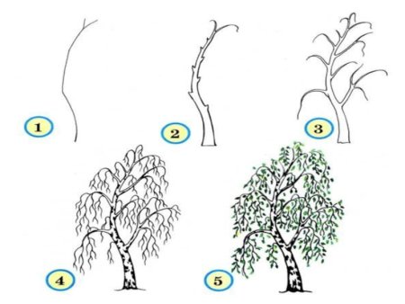 Этапы рисования зимнего дерева