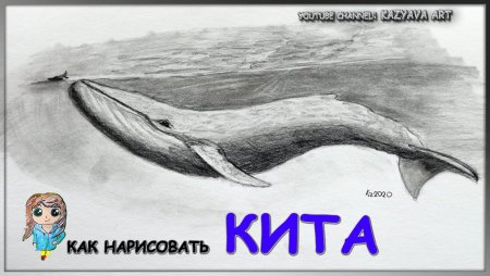 Кит поэтапно карандашом