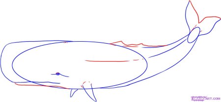 Кит рисунок для детей