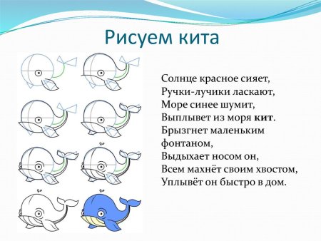Кит поэтапно карандашом