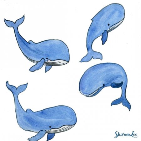 Поэтапное рисование синего кита для детей