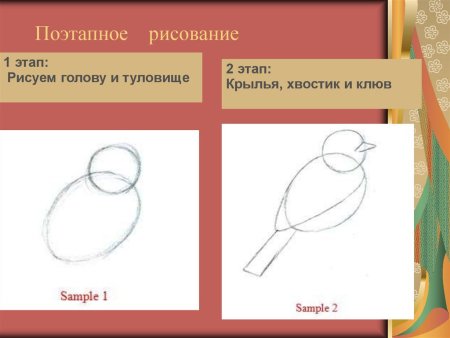 Наши друзья птицы изображение и реальность