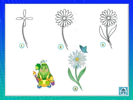 Алгоритмы рисования цветов для дошкольников