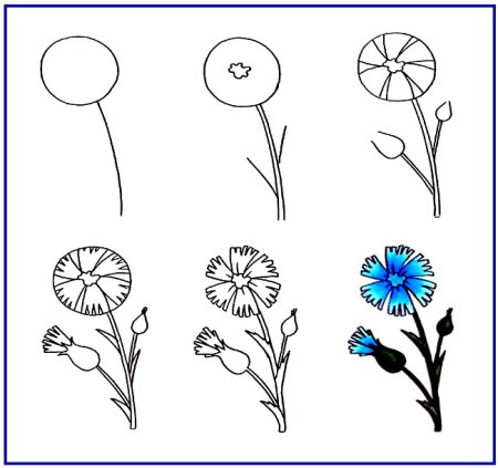 Схемы рисования цветов для детей