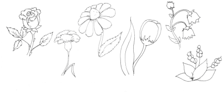 Растения клумбы рисунок