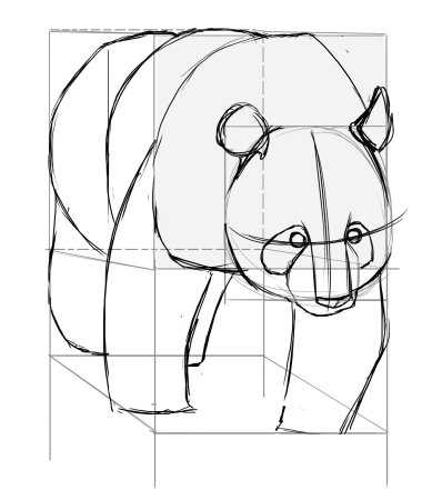 Голова панды рисунок по этапно