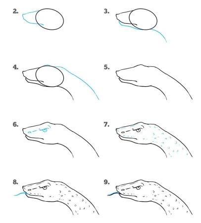 Змея поэтапное рисование
