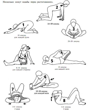 Упражнения на растяжку с описанием упражнений