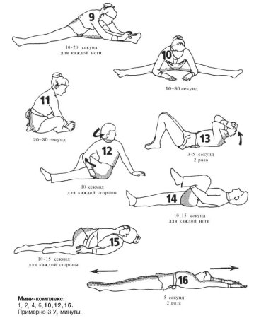 Стретчинг упражнения для начинающих на растяжку