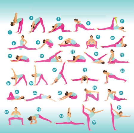 Упражнения для растяжки на шпагат для начинающих в домашних