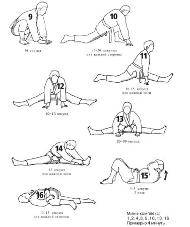 Упражнения для растяжки ног для начинающих детей