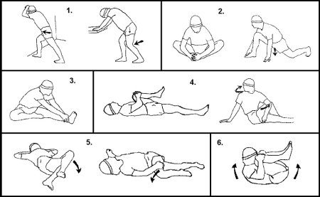 Схема упражнений стретчинга для детей страус