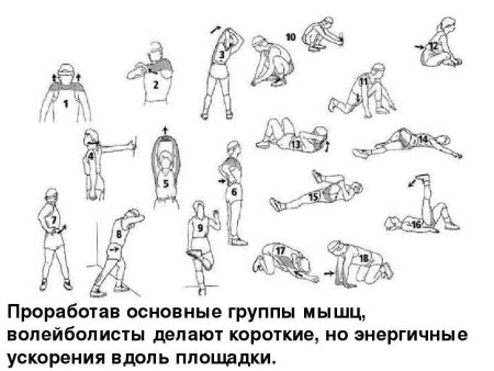 Комплекс разминочных упражнений на растяжку